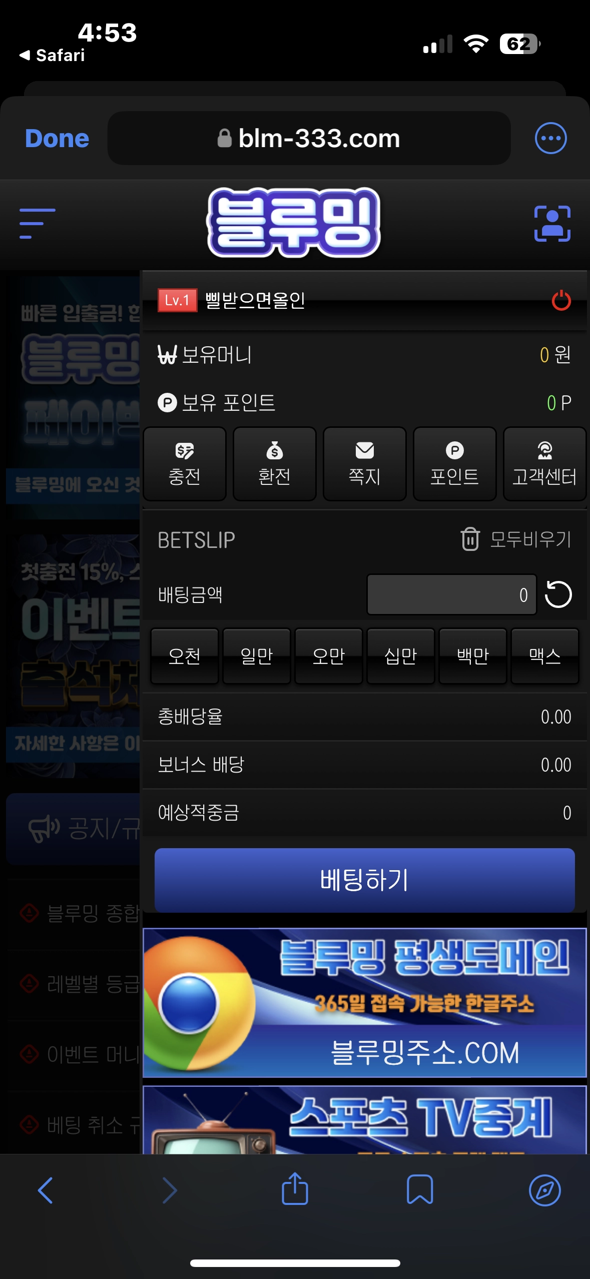 블루핑 