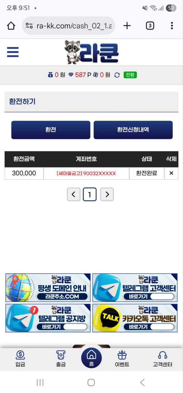 라쿤 이용후기