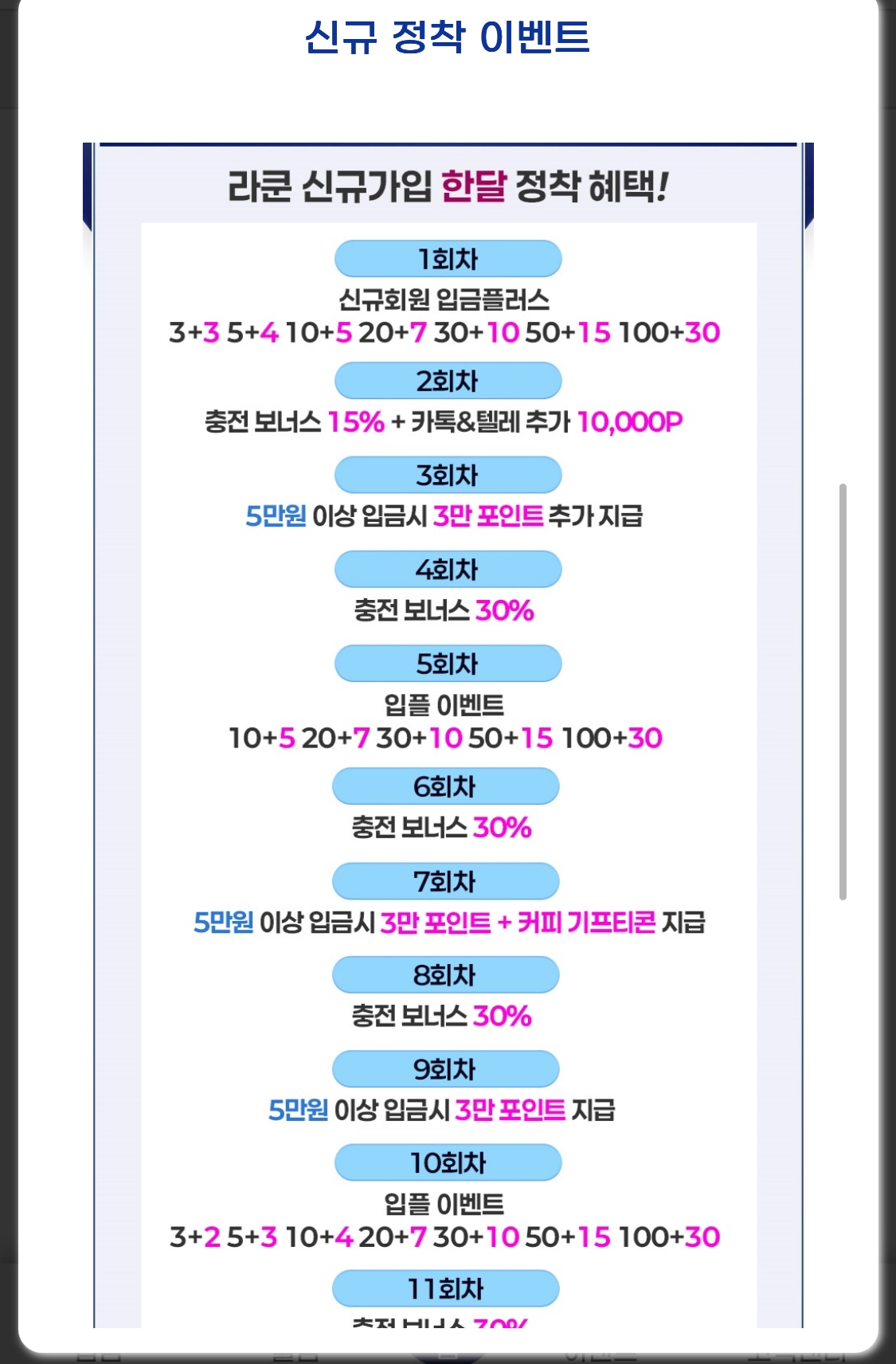 라쿤 이용후기