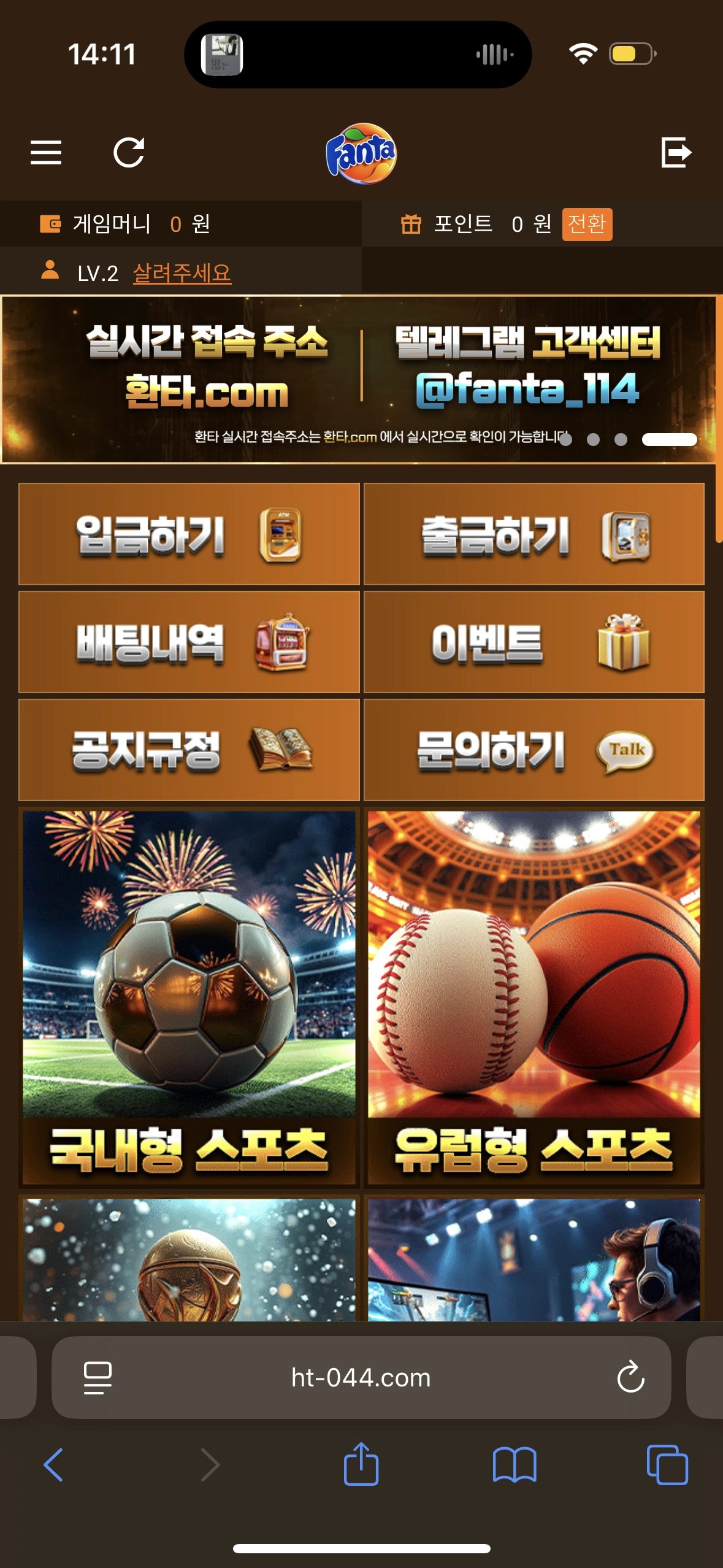 환타후기