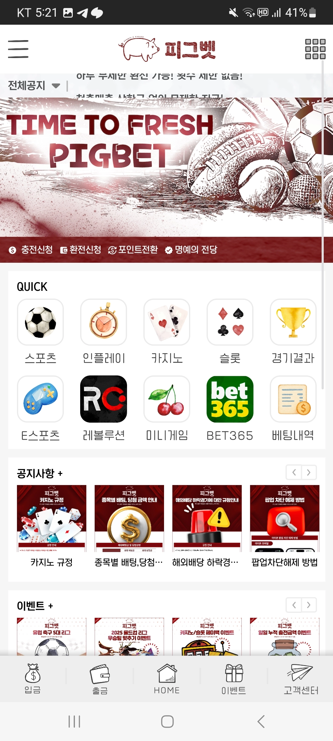 피그벳 후기