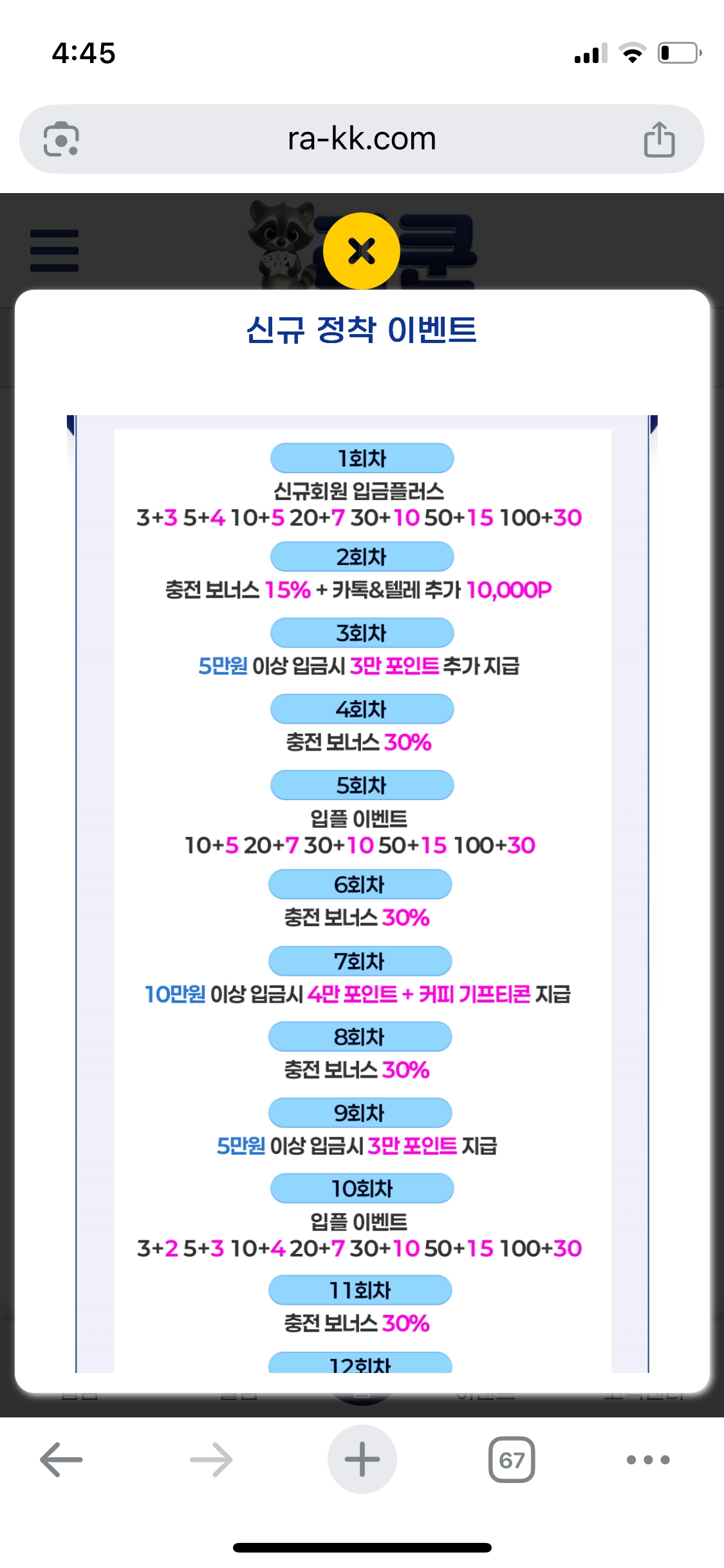 라쿤후기