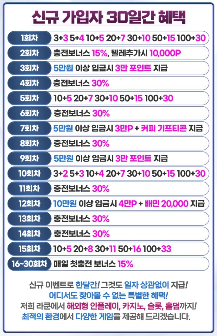 라쿤 후기
