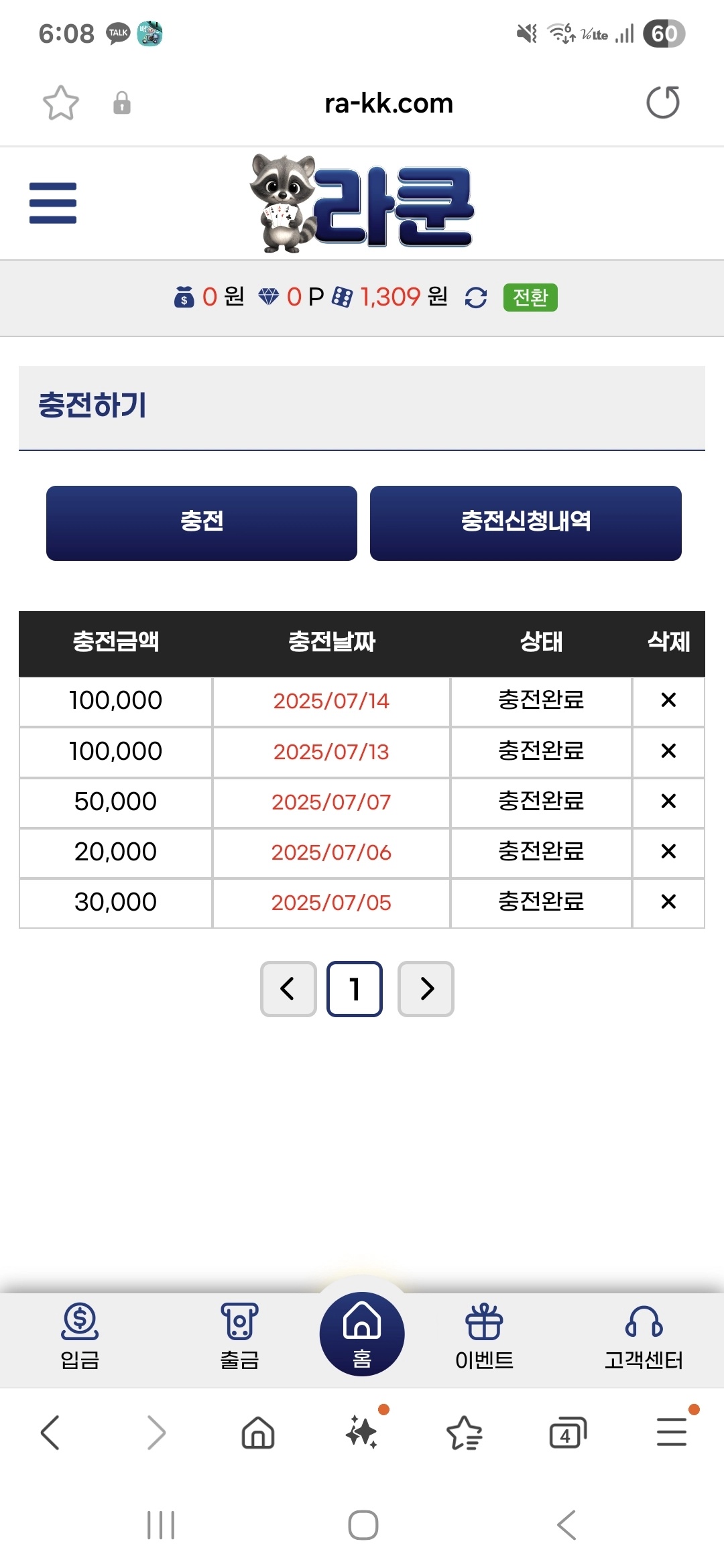 라쿤후기