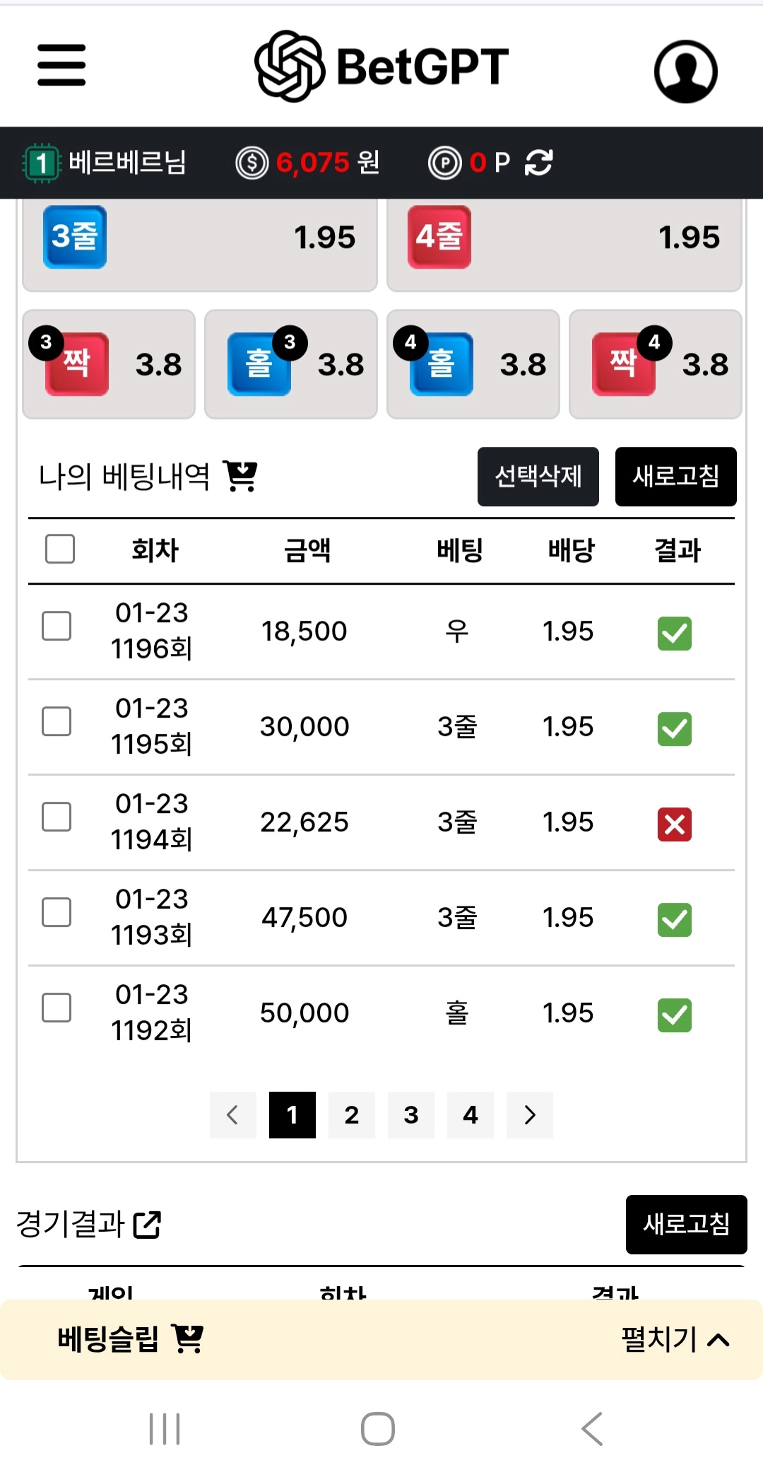 벳지피티 후기