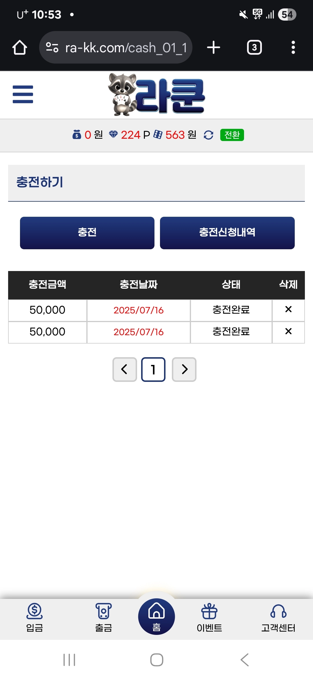 라쿤벳 입니다
