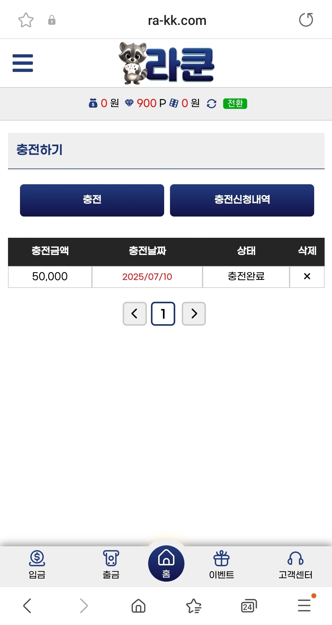 라쿤 이용후기 